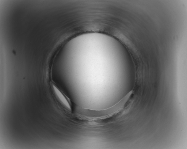 X0000088420064200706121440