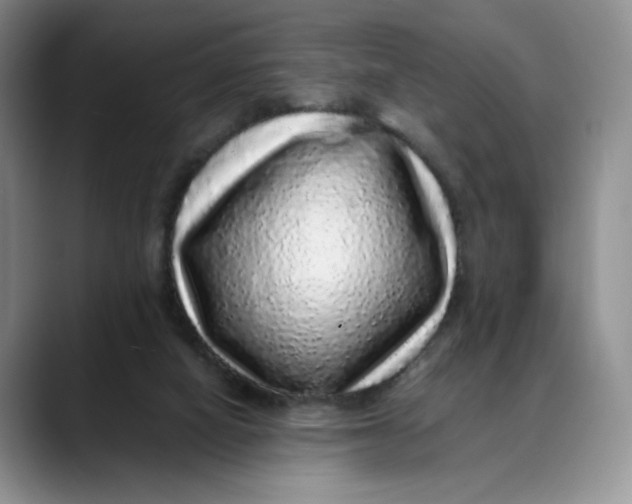 X0000088420066200706121440