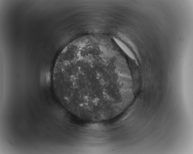 X0000088420067200706121440