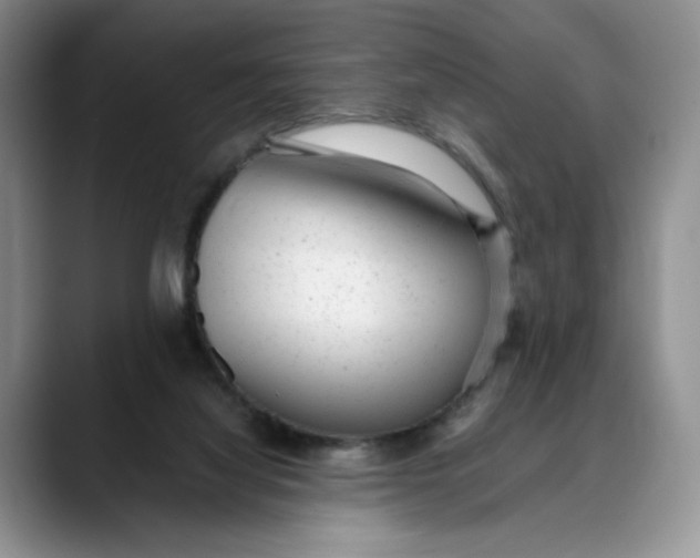 X0000088420068200706121440