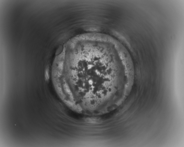 X0000088420069200706121440