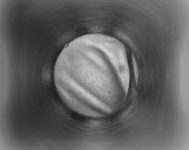 X0000088420071200706121440