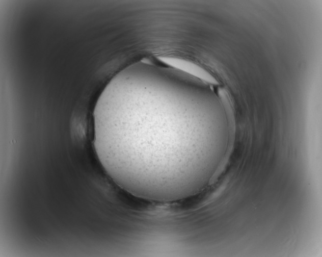 X0000088420072200706121440