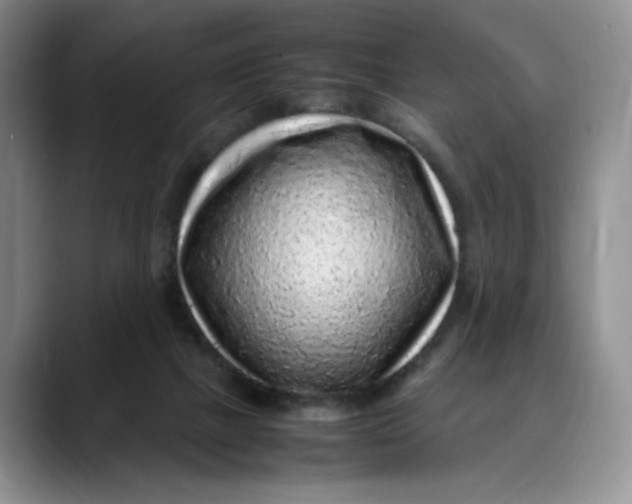 X0000088420073200706121440