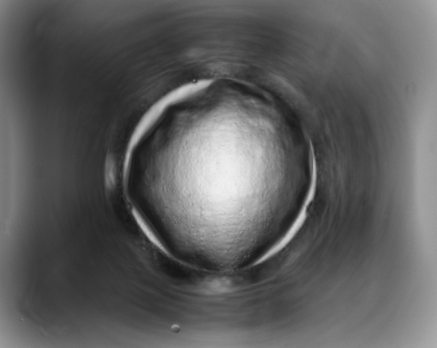 X0000088420075200706121440