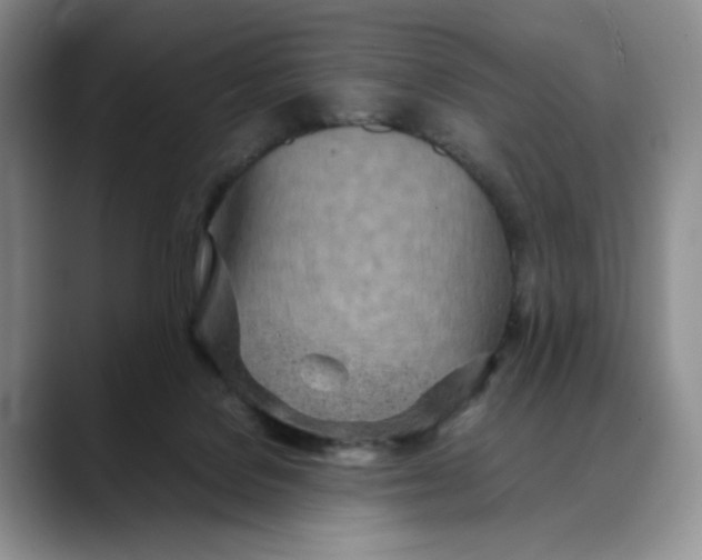 X0000088420076200706121440