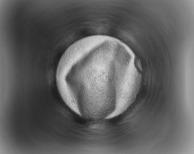X0000088420077200706121440