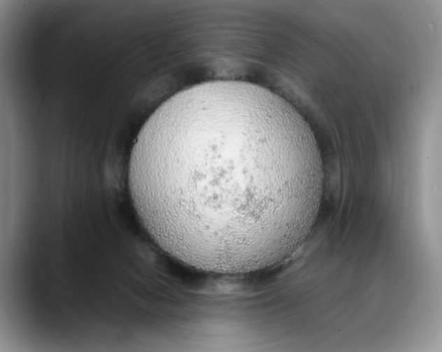 X0000088420078200706121440