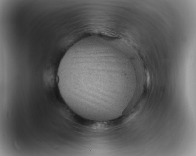 X0000088420080200706121440