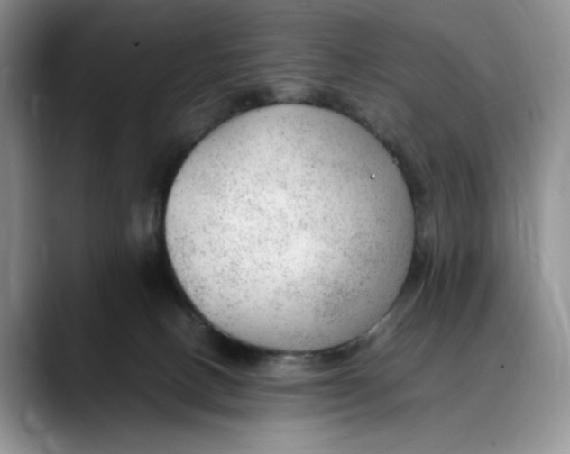 X0000088420082200706121440