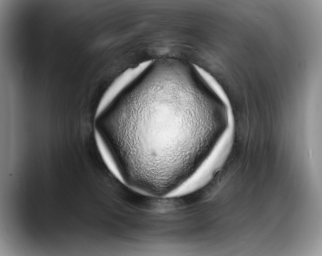 X0000088420085200706121440