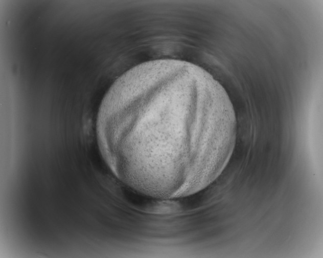 X0000088420087200706121440