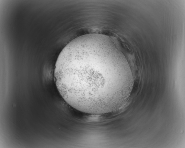 X0000088420090200706121440
