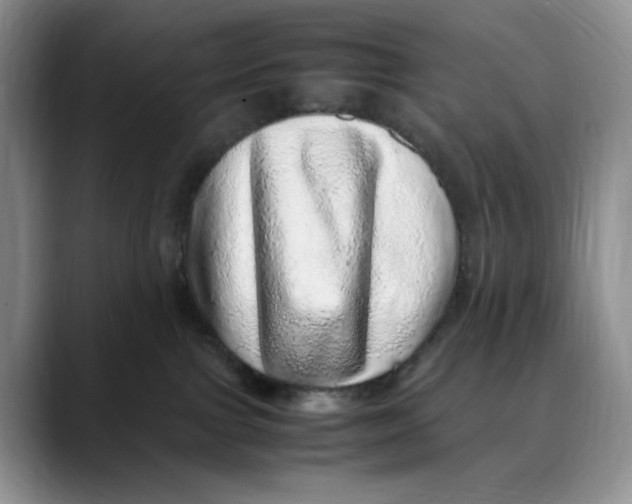 X0000088420091200706121440