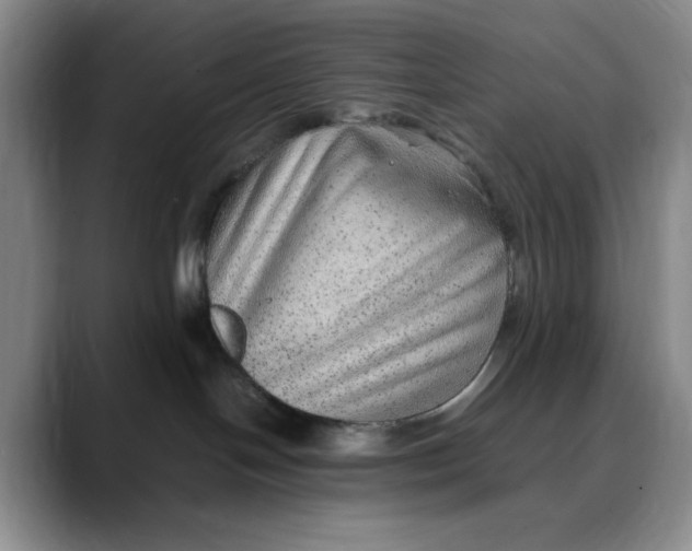 X0000088420094200706121440