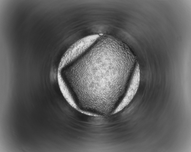X0000088420095200706121440