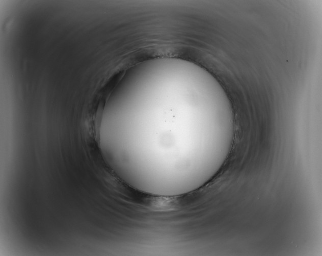 X0000088420096200706121440