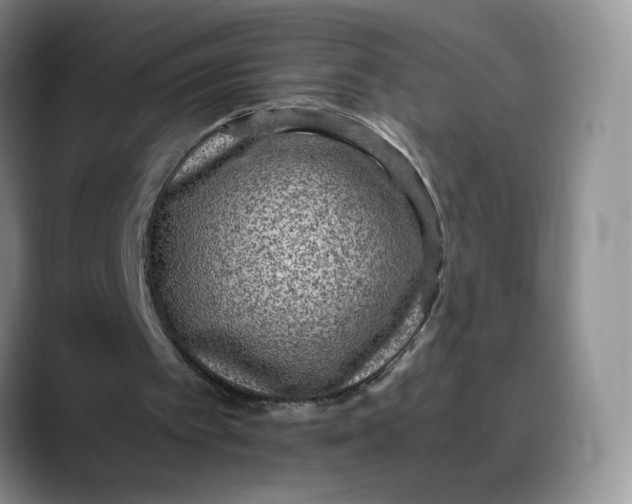 X0000088420097200706121440