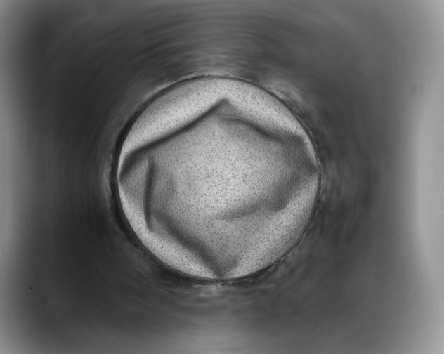 X0000088420098200706121440