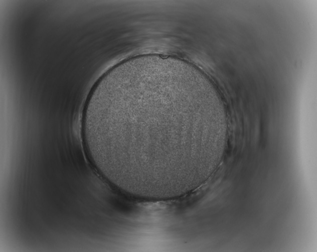 X0000088420100200706121440