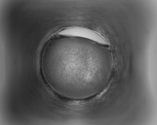 X0000088420101200706121440