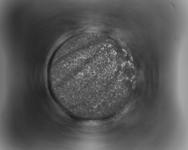X0000088420102200706121440