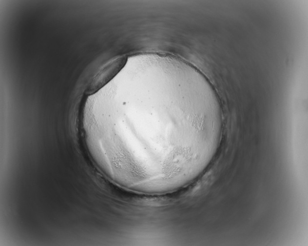 X0000088420103200706121440