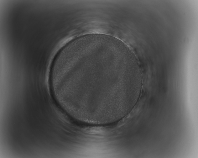X0000088420104200706121440