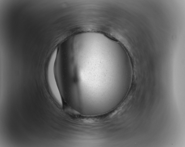 X0000088420105200706121440