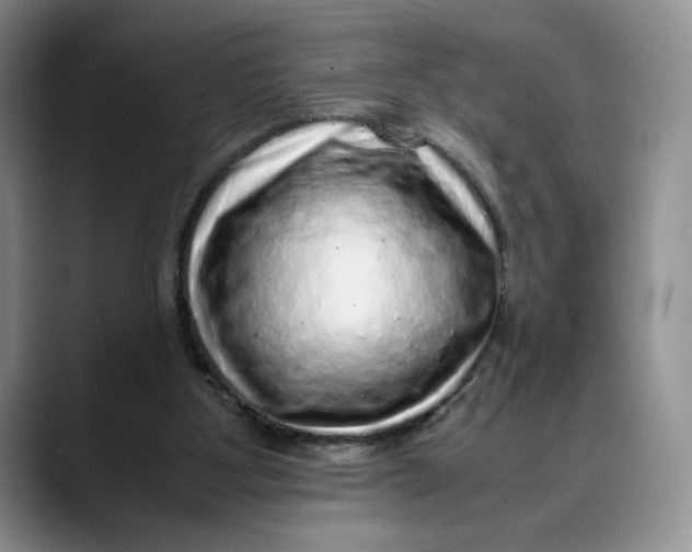 X0000088420107200706121440