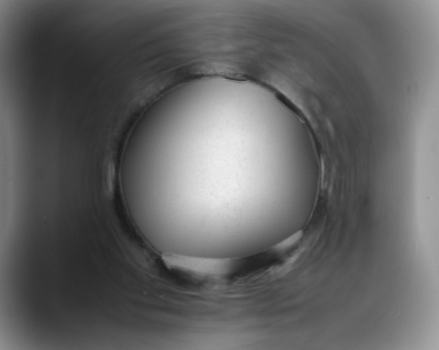 X0000088420109200706121440