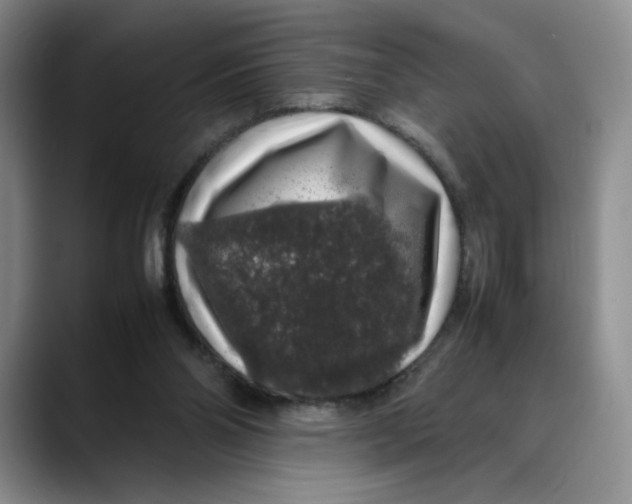 X0000088420110200706121440