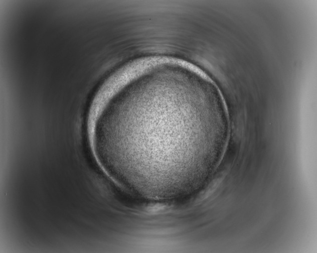 X0000088420111200706121440