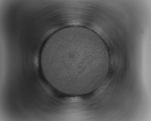X0000088420112200706121440