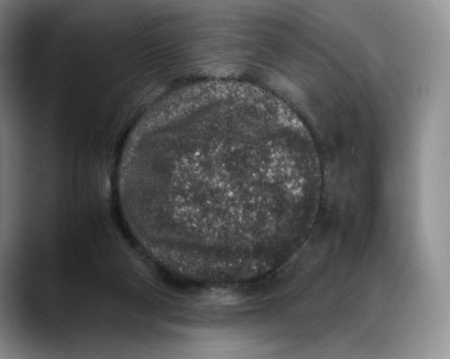 X0000088420114200706121440