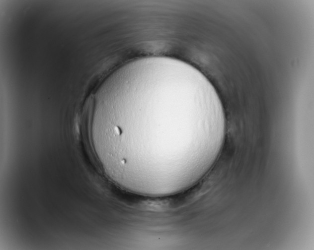 X0000088420115200706121440