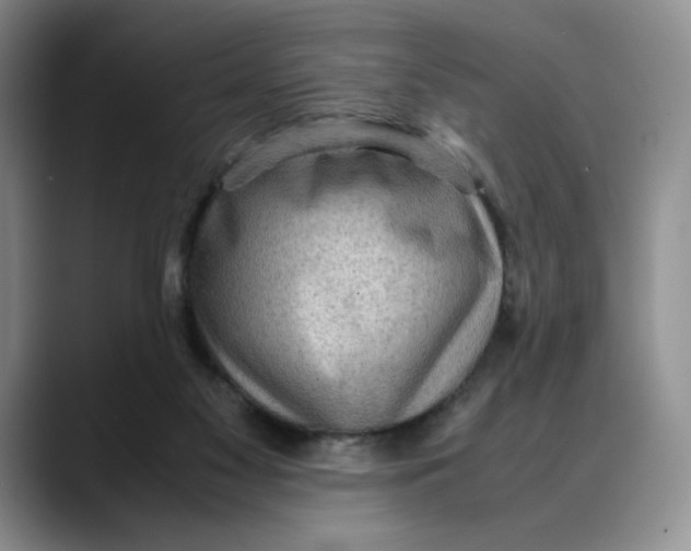 X0000088420117200706121439
