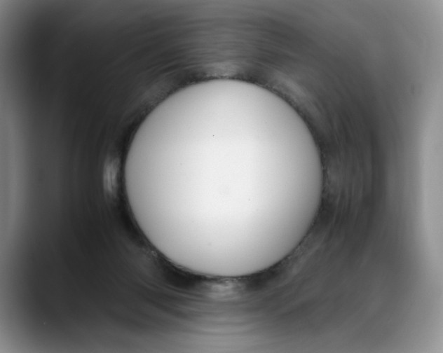 X0000088420118200706121439