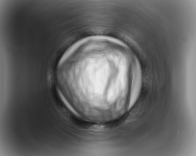 X0000088420119200706121439