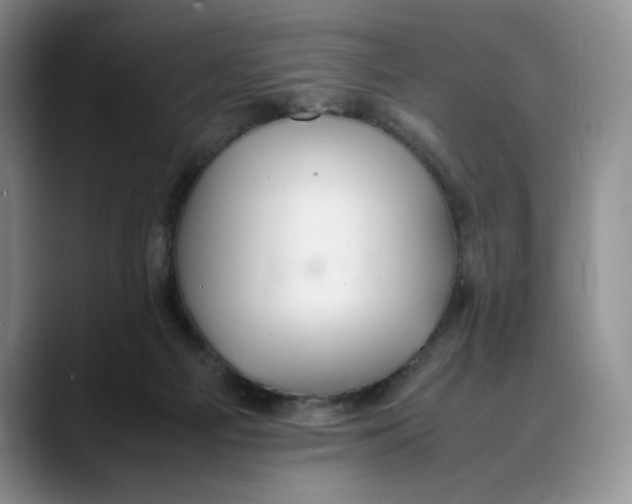 X0000088420121200706121439