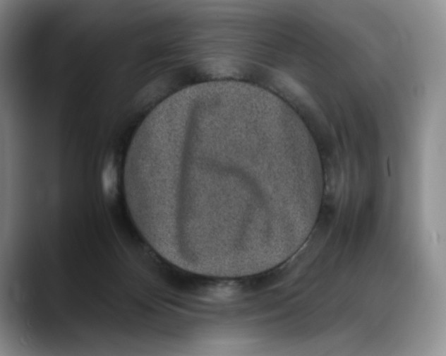 X0000088420124200706121439