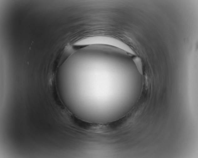 X0000088420125200706121439