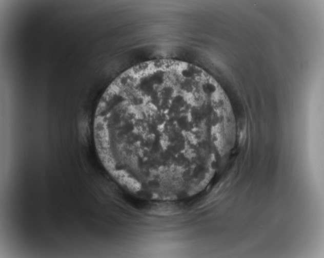X0000088420127200706121439