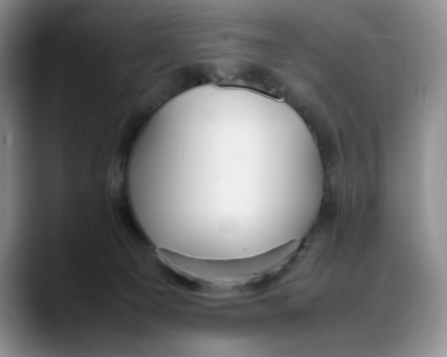 X0000088420129200706121439