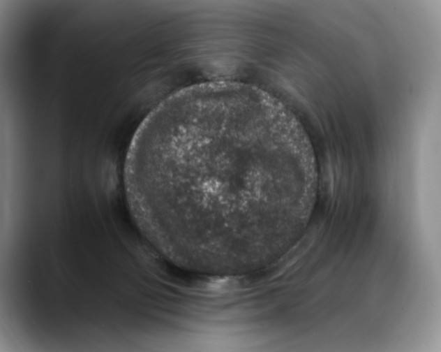 X0000088420130200706121439