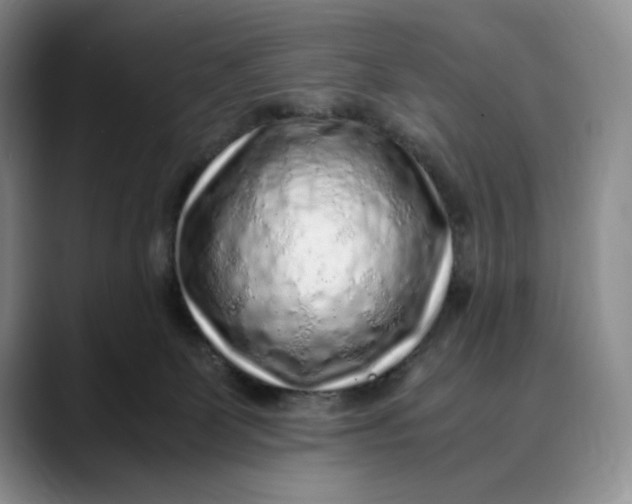 X0000088420131200706121439