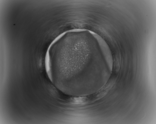 X0000088420134200706121439