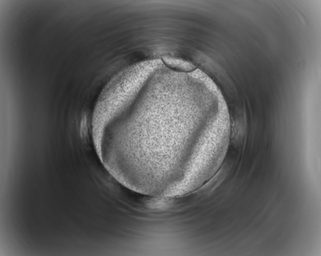 X0000088420142200706121439