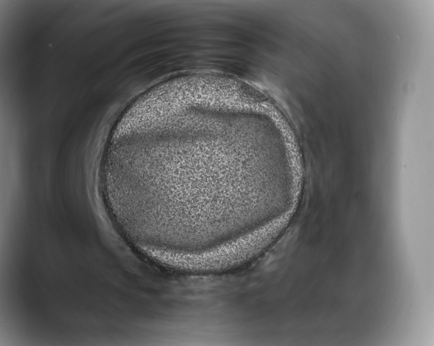 X0000088420145200706121439