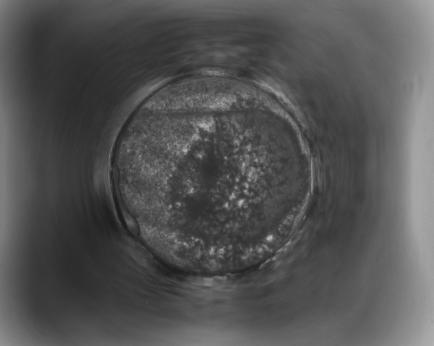 X0000088420147200706121439